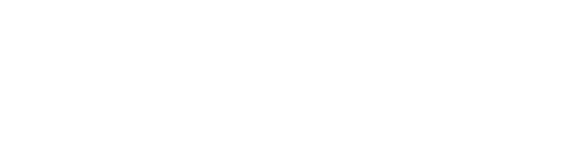 Dit Digitale Bureau: Scandic Digital